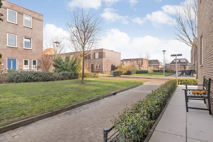 Foto 49 van Citroenvlinder 75