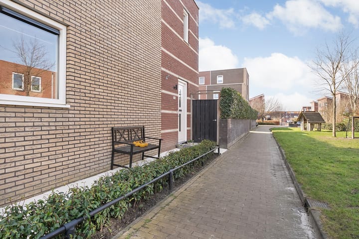 Foto 50 van Citroenvlinder 75