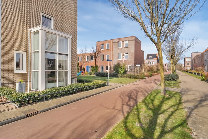 Foto 52 van Citroenvlinder 75