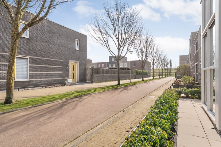 Foto 53 van Citroenvlinder 75