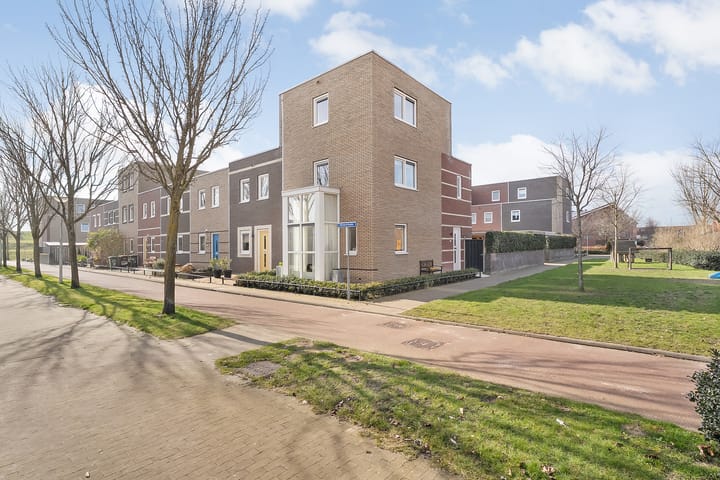 Foto 56 van Citroenvlinder 75