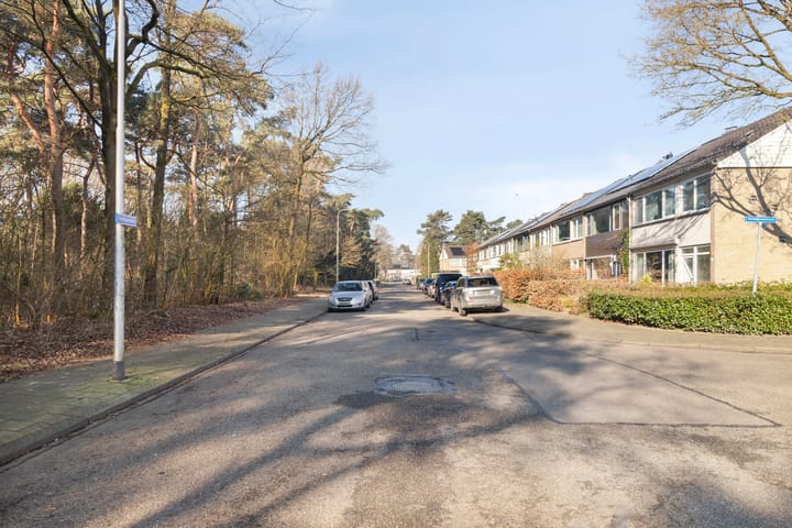 Foto 37 van Indigolaan 45