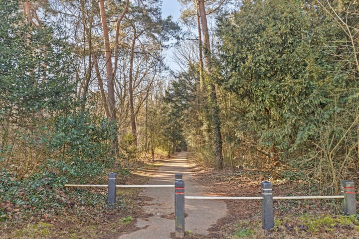 Foto 38 van Indigolaan 45