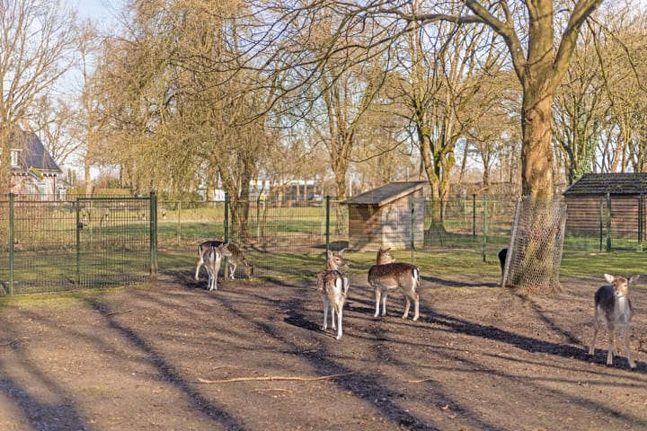 Foto 34 van Heiweg 14