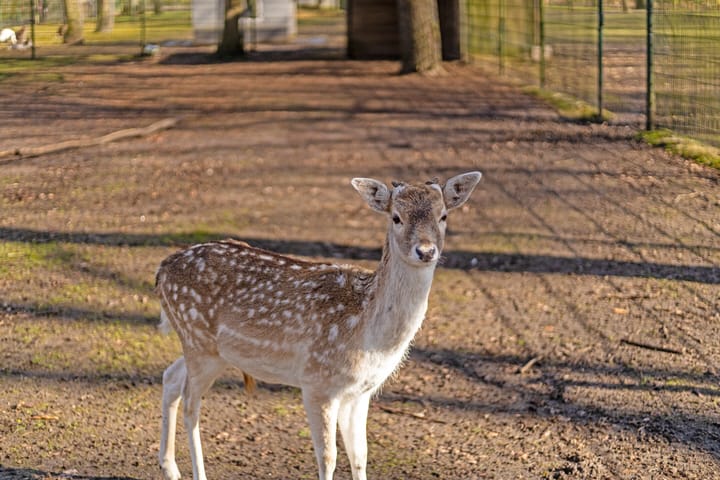 Foto 35 van Heiweg 14