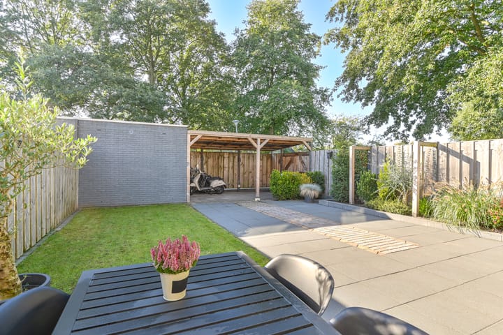 Foto 3 van Slechtvalk 41