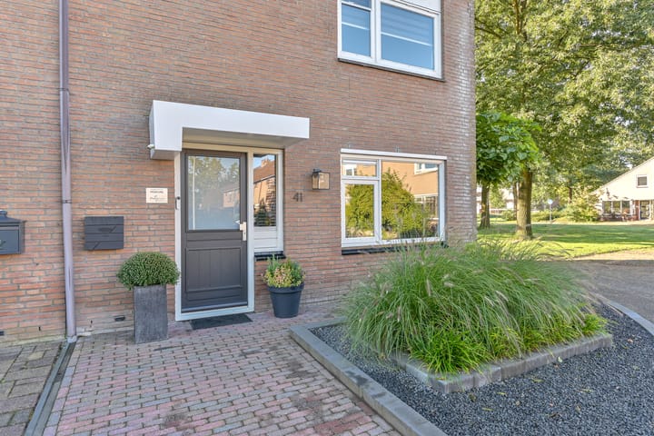 Foto 5 van Slechtvalk 41