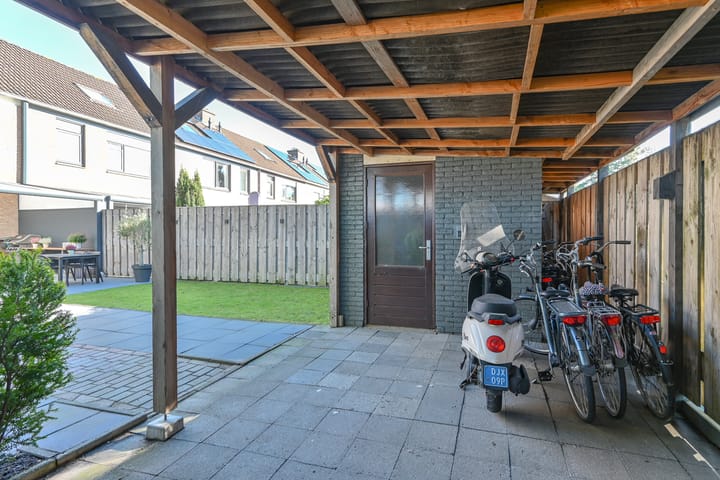 Foto 63 van Slechtvalk 41