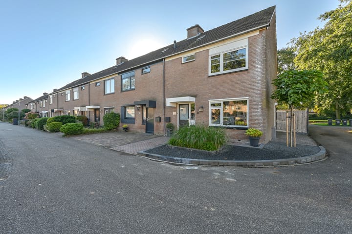 Foto 64 van Slechtvalk 41