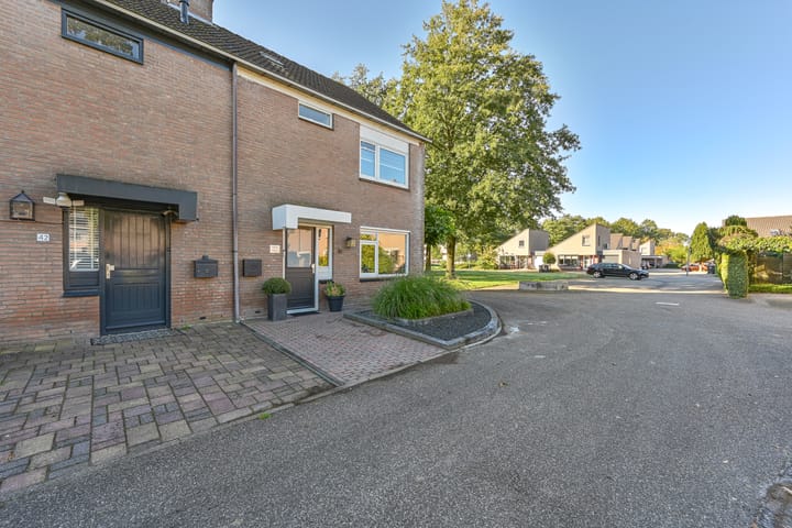 Foto 65 van Slechtvalk 41