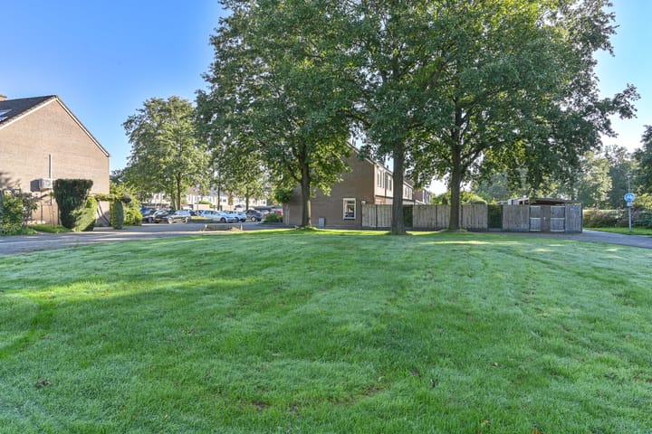 Foto 68 van Slechtvalk 41