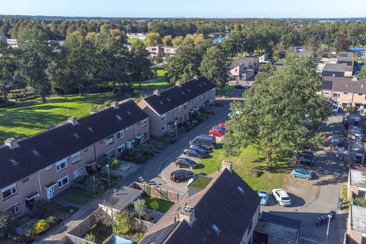 Foto 70 van Slechtvalk 41