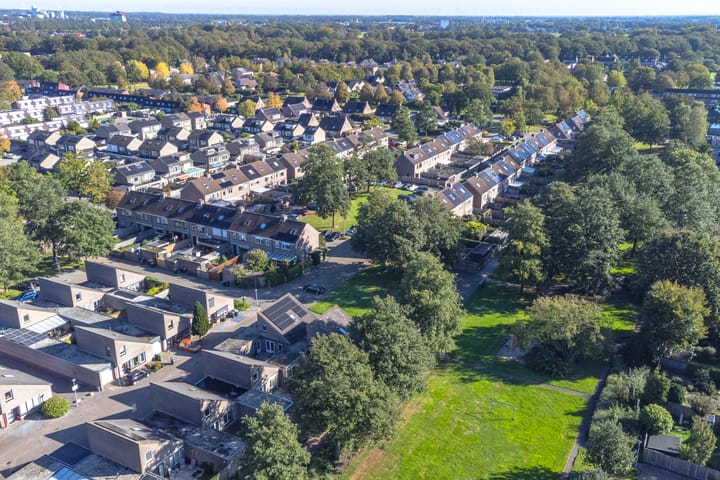 Foto 72 van Slechtvalk 41