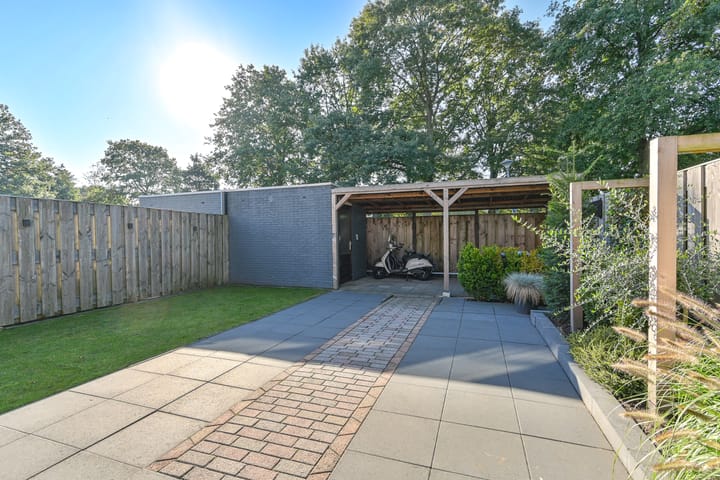 Foto 61 van Slechtvalk 41