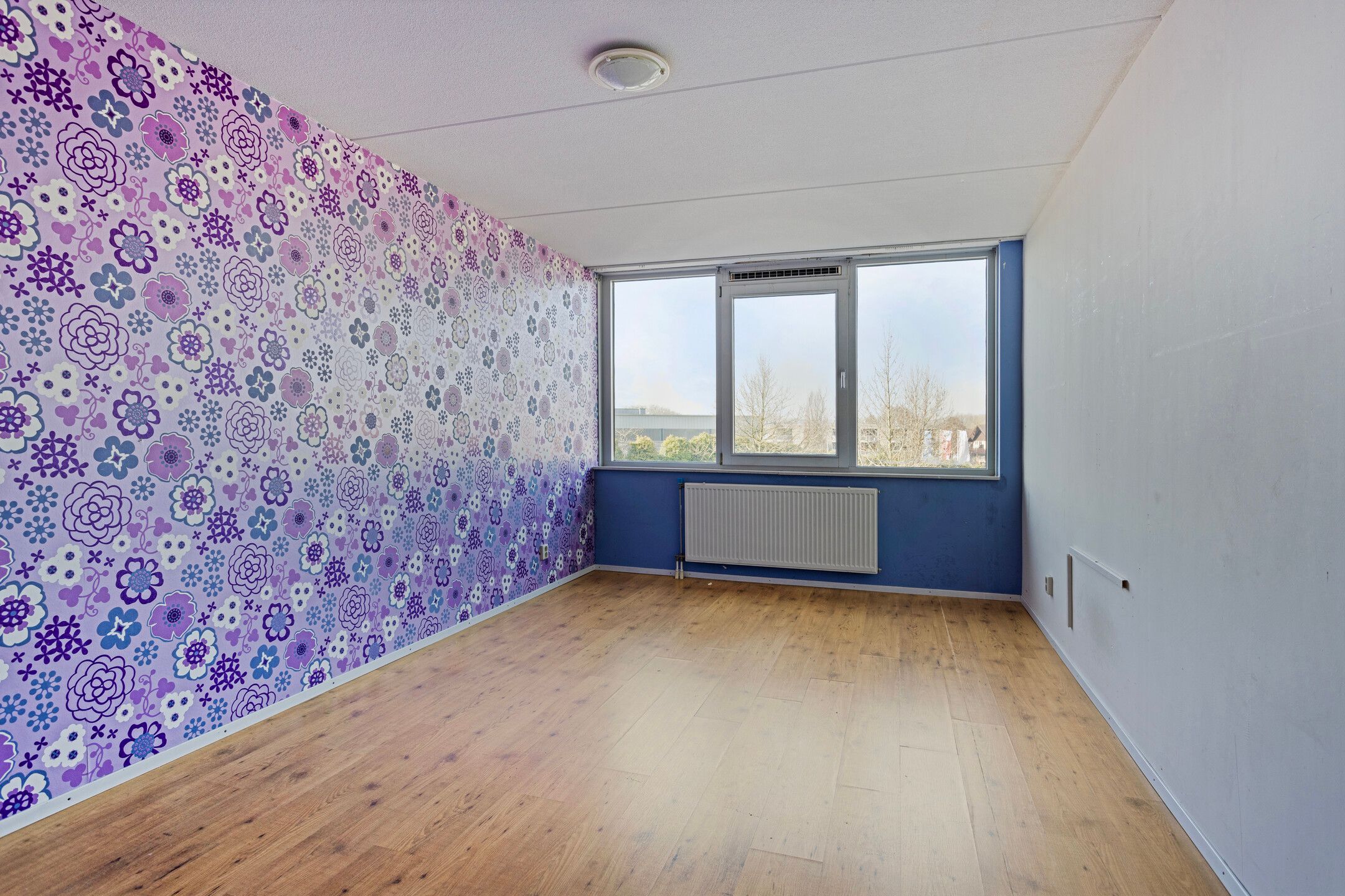 Foto 21 van Fresiaveld 16