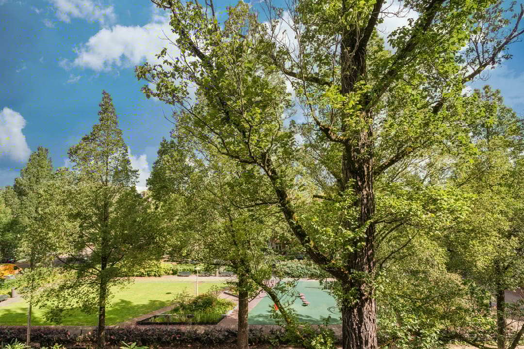 Foto 11 van Gerrit van der Veenstraat 133-3