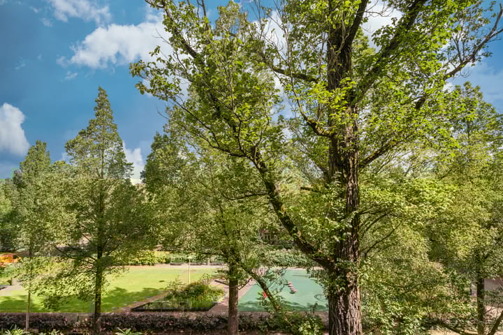 Foto 11 van Gerrit van der Veenstraat 133-3