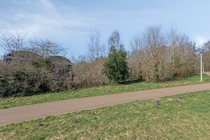 Foto 39 van Norbertijnenstraat 33