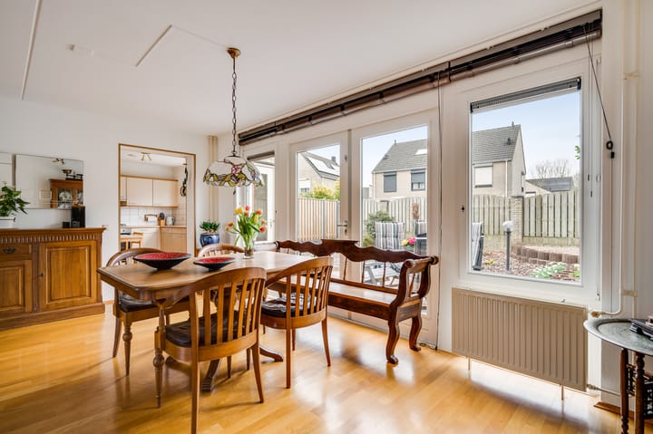 Foto 10 van Meander 40