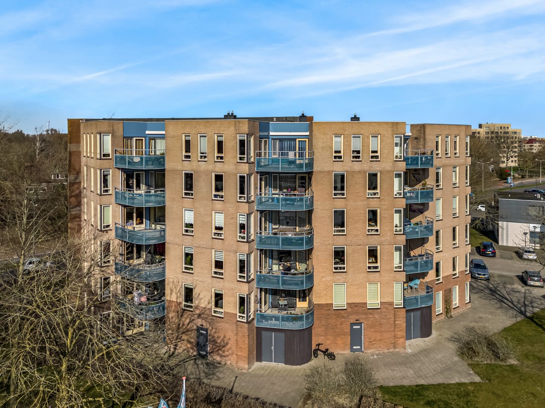 Foto 1 van Grote Beer 25