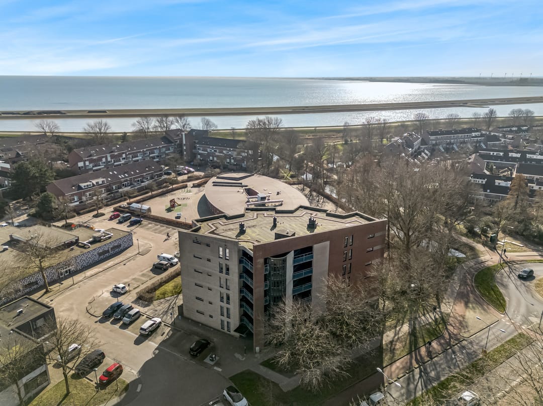 Foto 2 van Grote Beer 25