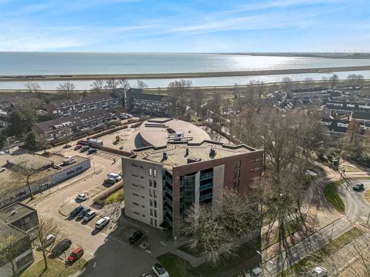 Foto 2 van Grote Beer 25