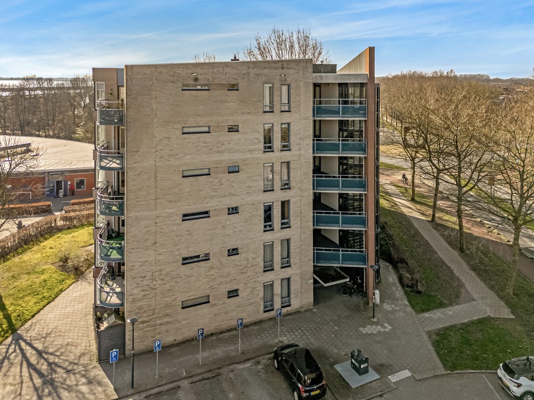 Foto 7 van Grote Beer 25