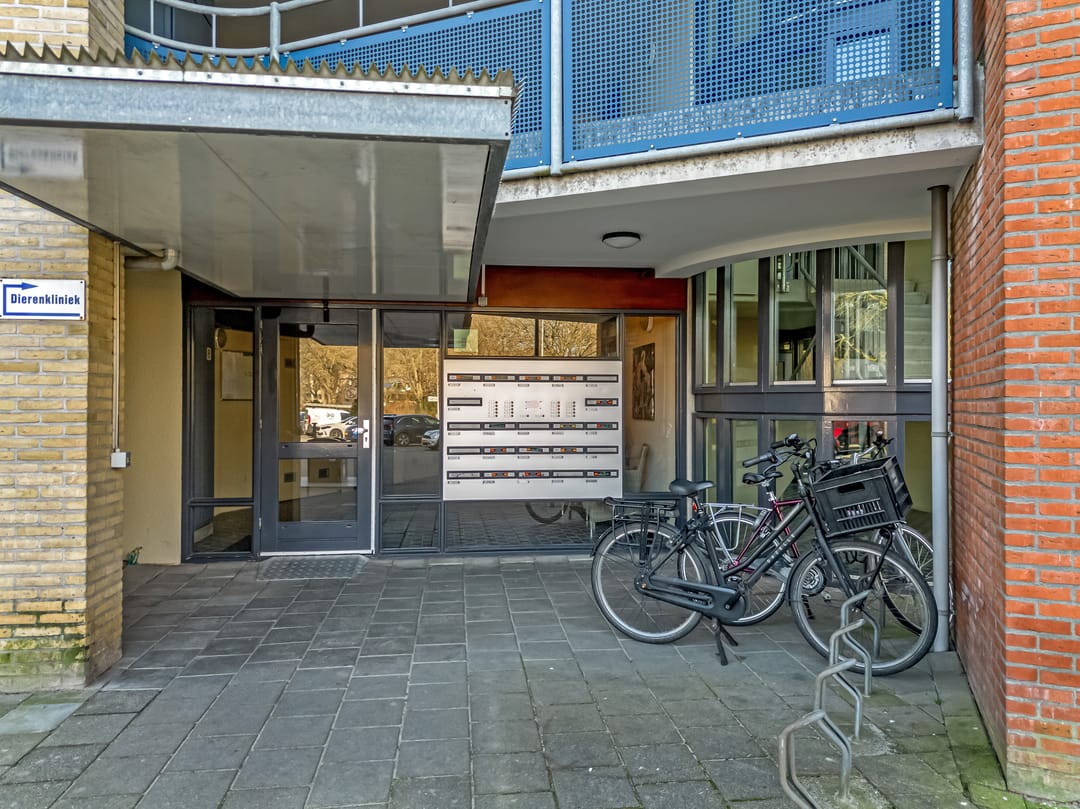 Foto 8 van Grote Beer 25