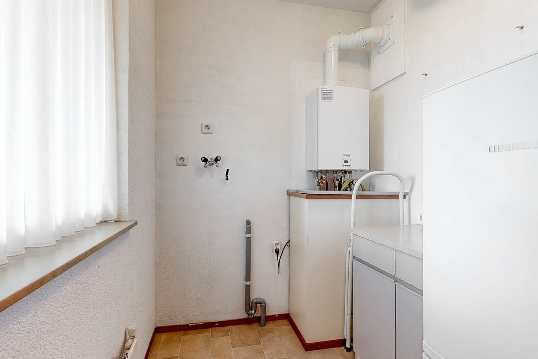 Foto 26 van Grote Beer 25