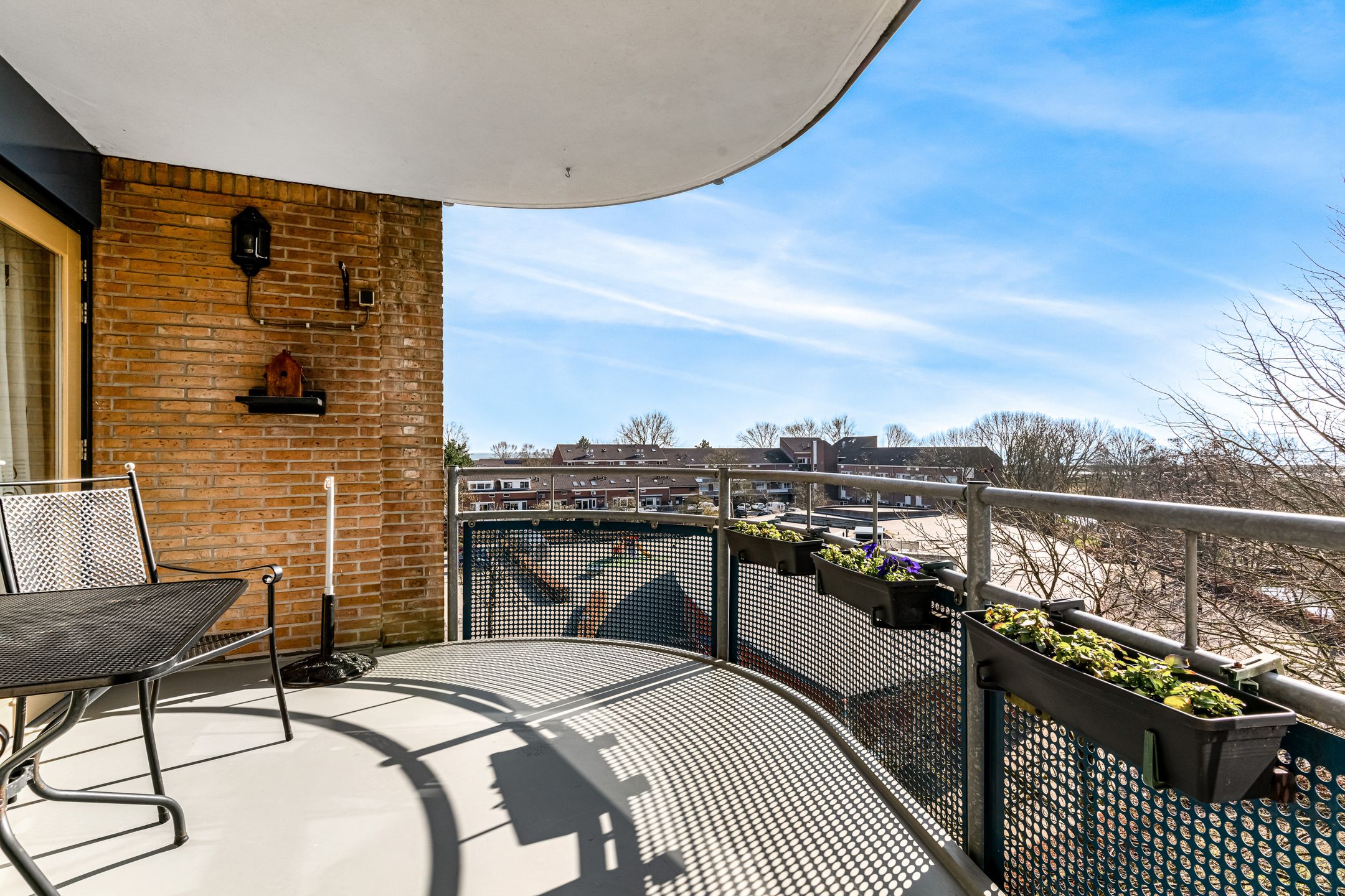 Foto 27 van Grote Beer 25