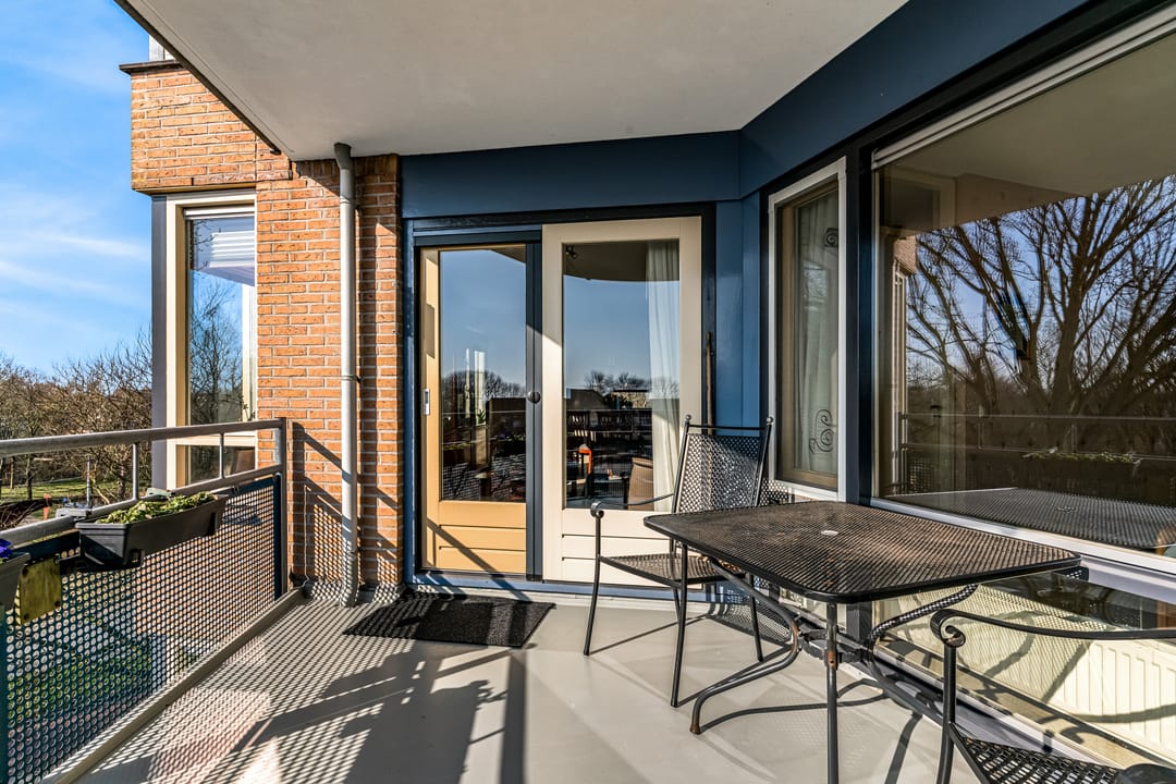 Foto 28 van Grote Beer 25