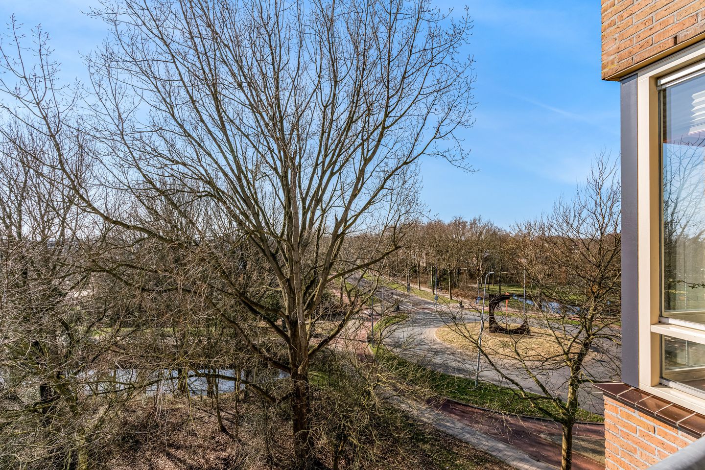 Foto 29 van Grote Beer 25