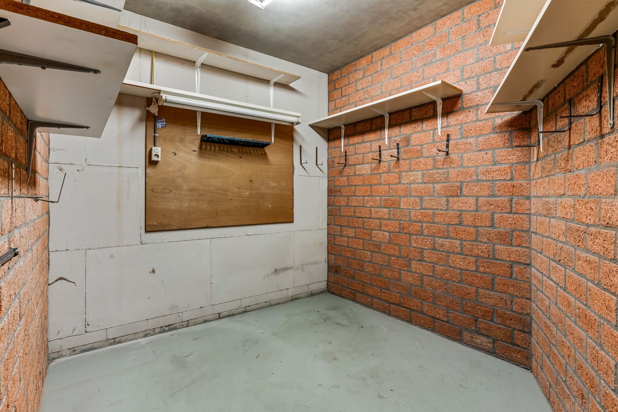 Foto 30 van Grote Beer 25