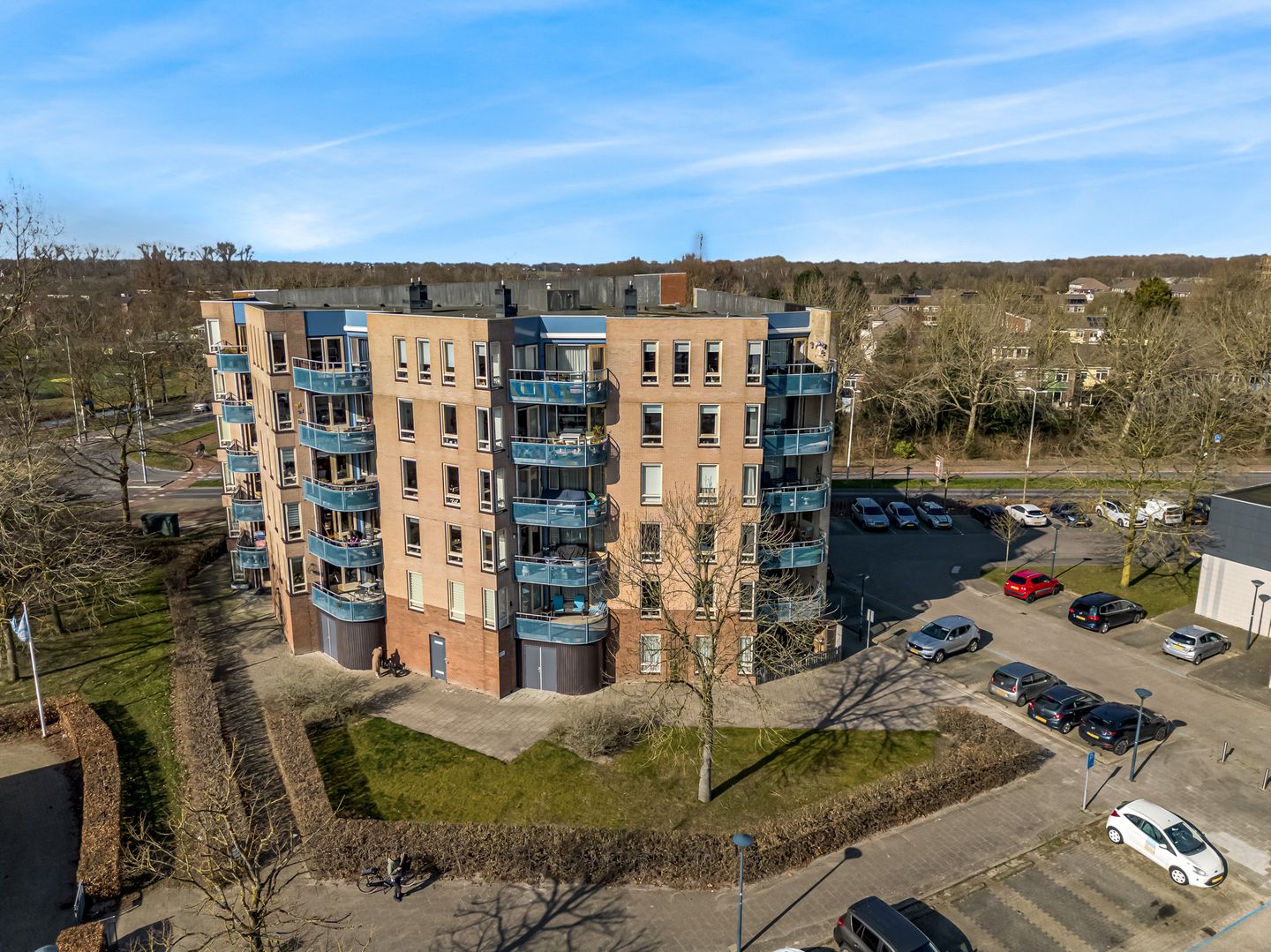 Foto 34 van Grote Beer 25