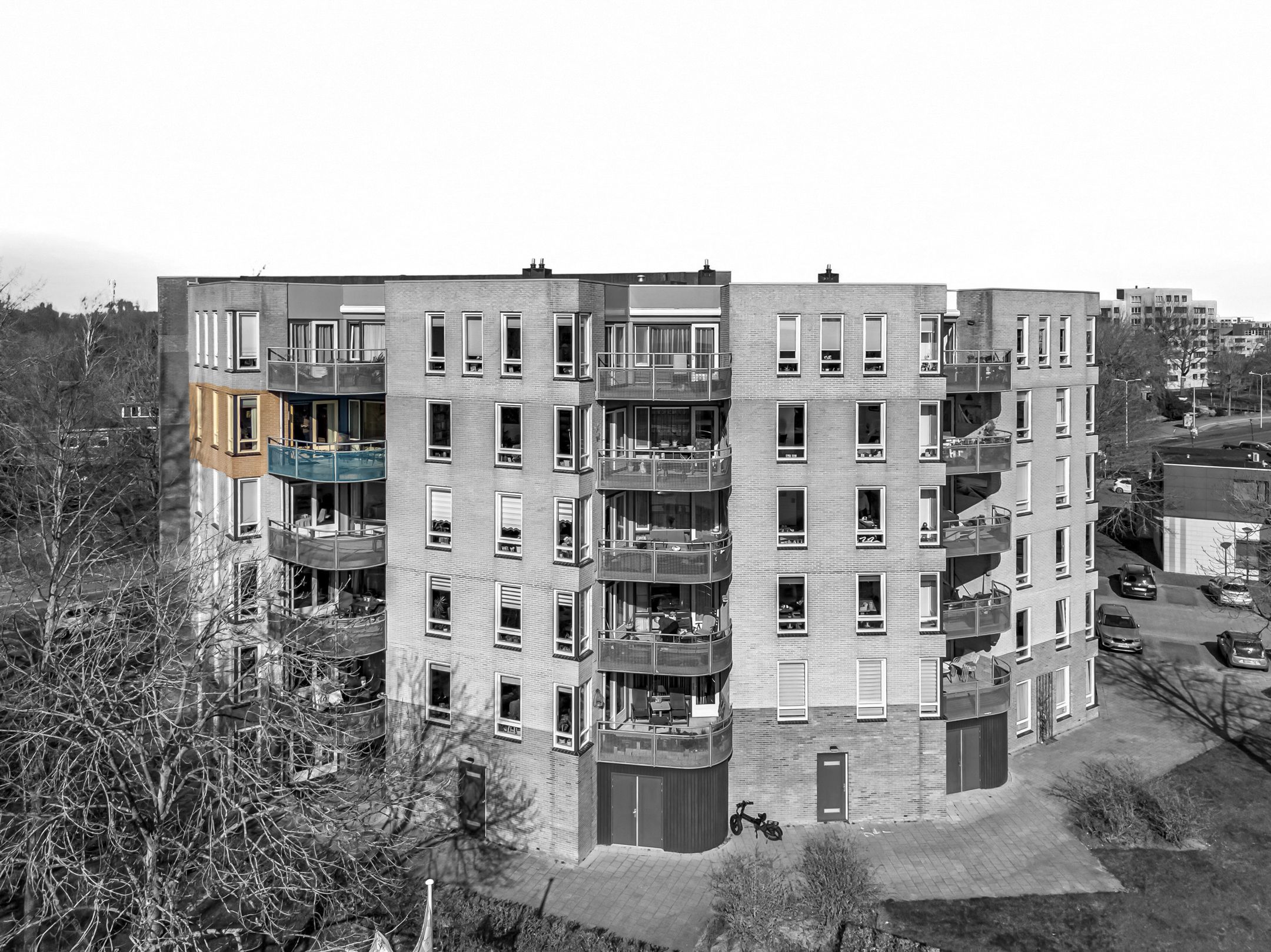 Foto 36 van Grote Beer 25