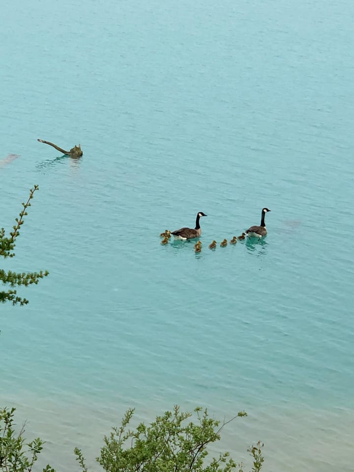 Foto 48 van Houtvester Jansenweg 2-A4