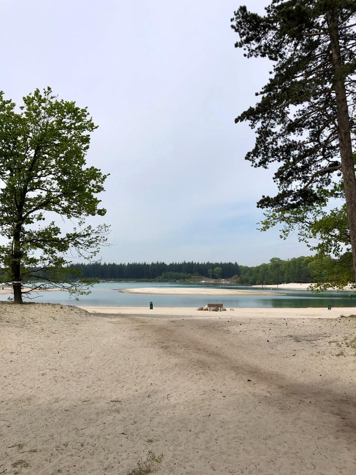 Foto 49 van Houtvester Jansenweg 2-A4