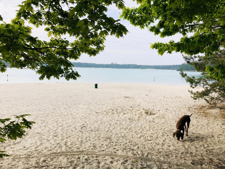 Foto 46 van Houtvester Jansenweg 2-A4