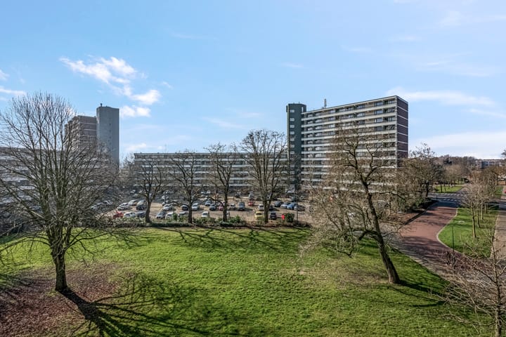 Foto 5 van Zuiderkruis 492