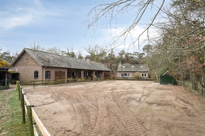 Foto 13 van Lieshoutsedijk 39