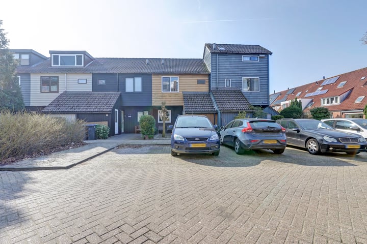 Bekijk foto van Goudvink 48