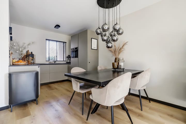 Foto 19 van Goudvink 48