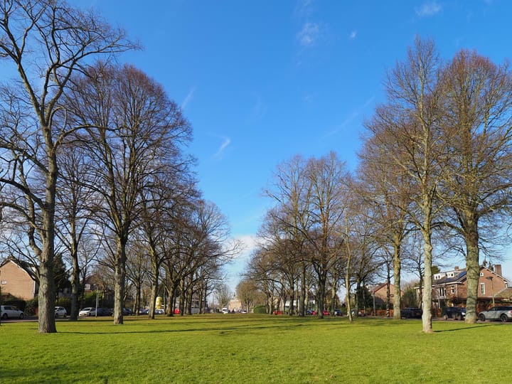 Foto 53 van Parklaan 1