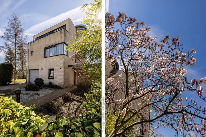 Foto 2 van Zwemmerslaan 7