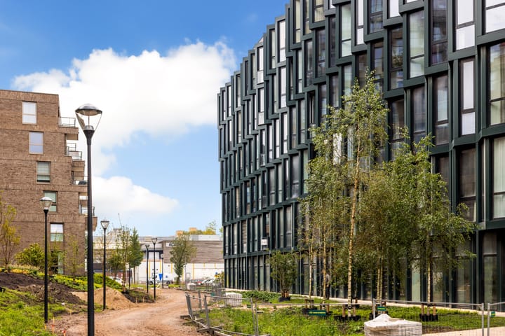 Foto 34 van Surinamepad 148