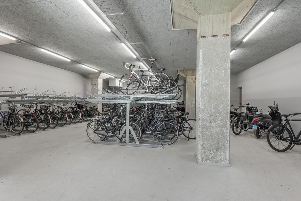 Foto 36 van Surinamepad 148