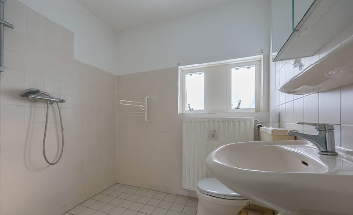 Foto 4 van Buziaupad 1