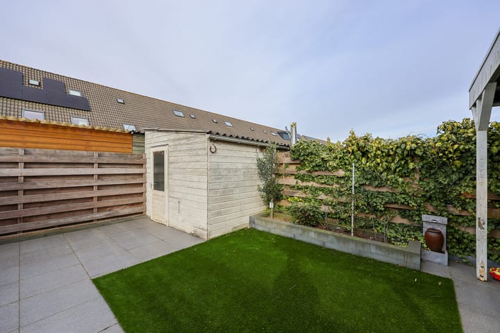 Foto 29 van Buziaupad 1