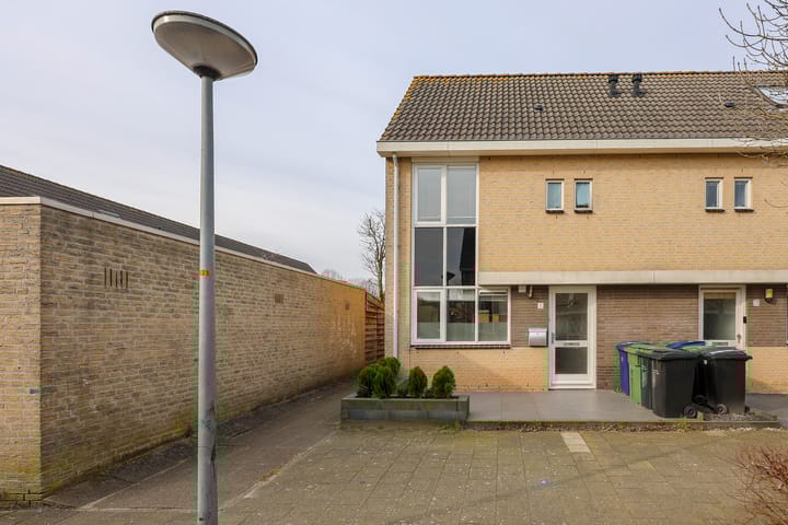 Foto 31 van Buziaupad 1