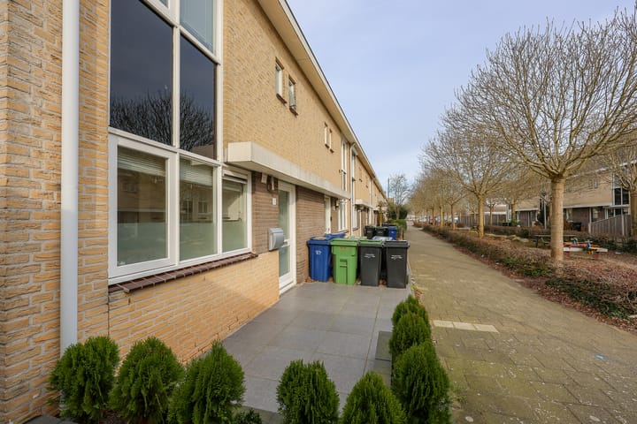 Foto 33 van Buziaupad 1